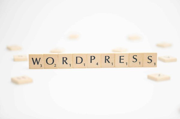 Agence wordpress : solutions de performance numérique durable